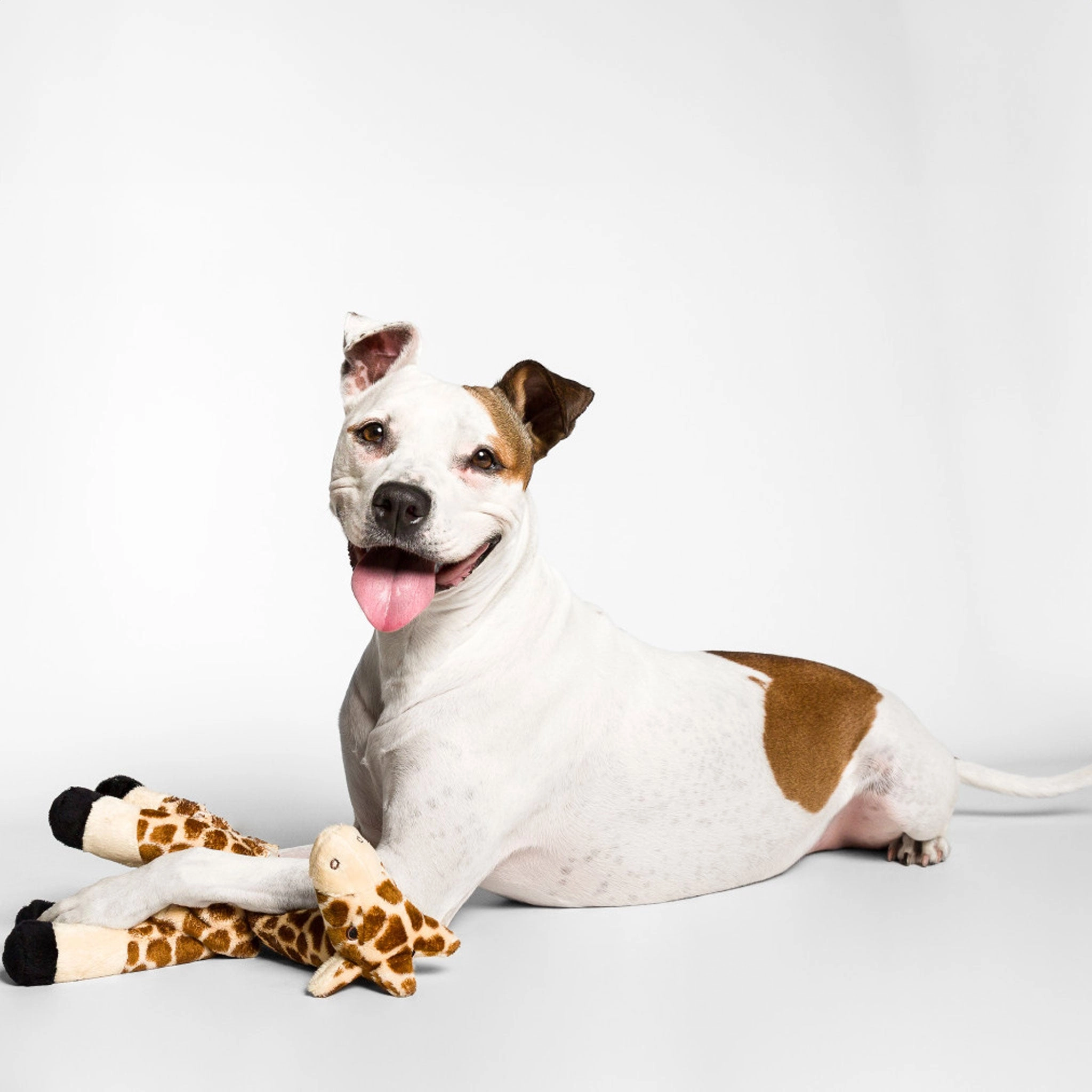 Fluff & Tuff Nelly Giraffe Plush Dog Toy - 13in