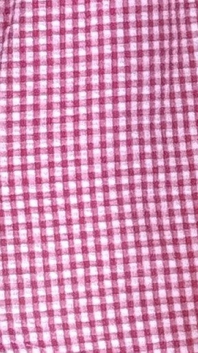 Sahirah Mini Dress - Red / White Gingham